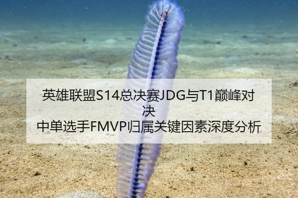 ying-xiong-lian-meng-zong-jue-sai-yu-dian-feng-dui-jue-zhong-dan-xuan-shou-gui-shu-guan-jian-yin-su-shen-du-fen-xi-3-579.jpg